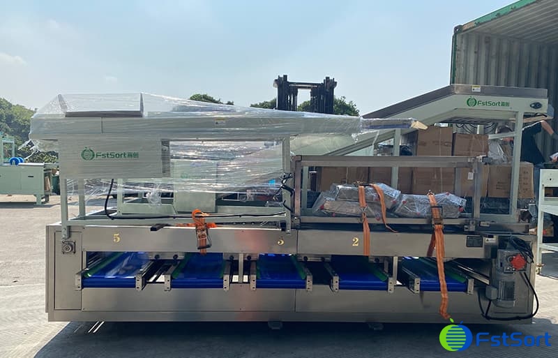 fruit sorting equipment.jpg fruit sorting equipment.jpg